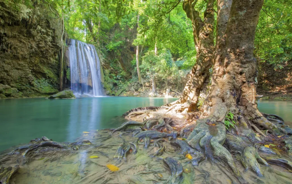 Best Time to Travel to Costa Rica 