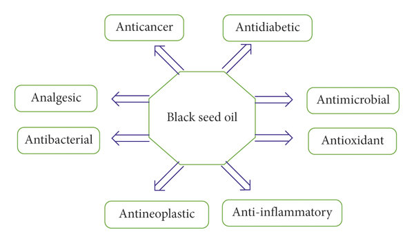 Black Seed Oil
