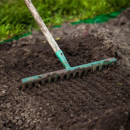 Soil preparation and seeding rates